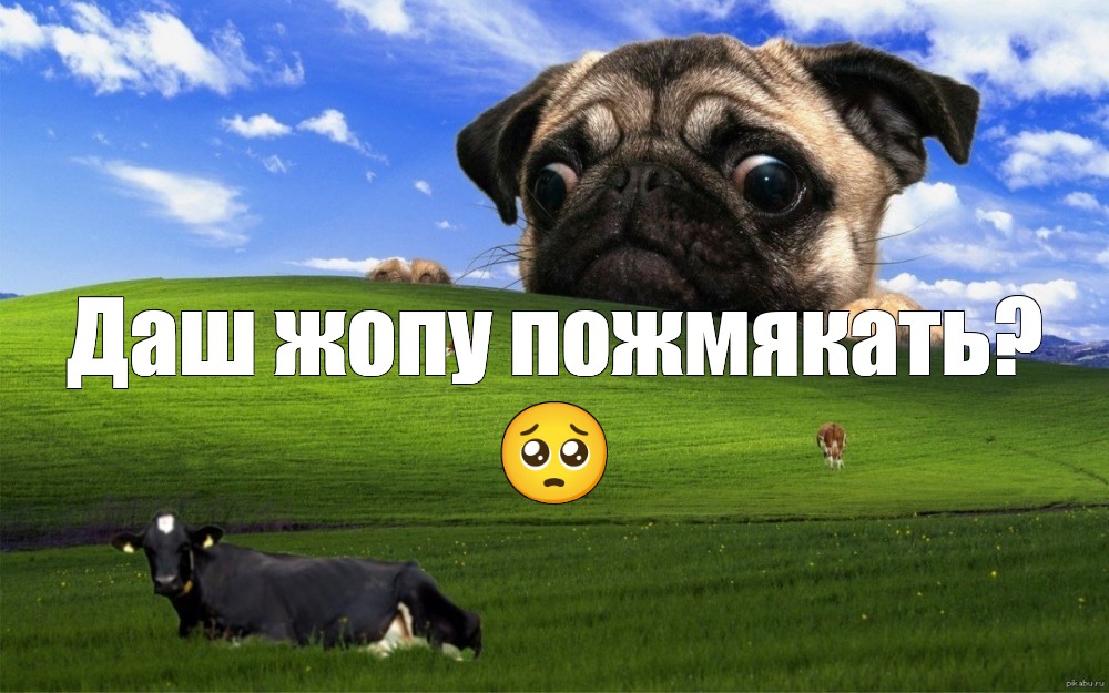 Ошибка виндовс xp мем