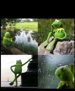 Create meme: the frog is waiting for, Kermit meme, kermit