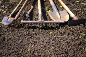 Create meme: weeds, soil, garden tools