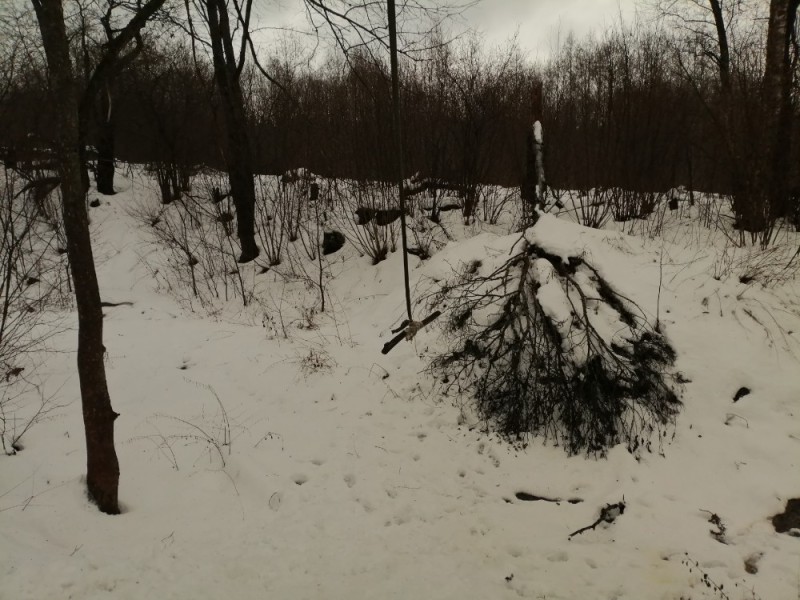 Create meme: in the winter forest, a tent in the woods, winter in the forest