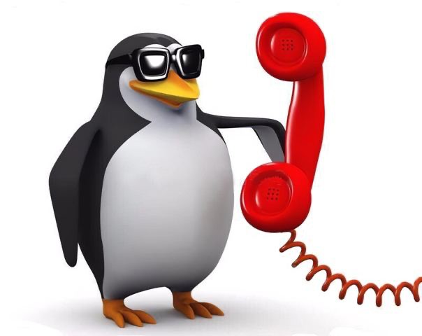 Create meme: penguin meme, meme penguin phone, the penguin with the phone