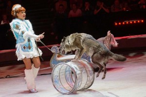 Create meme: the wolf in the circus