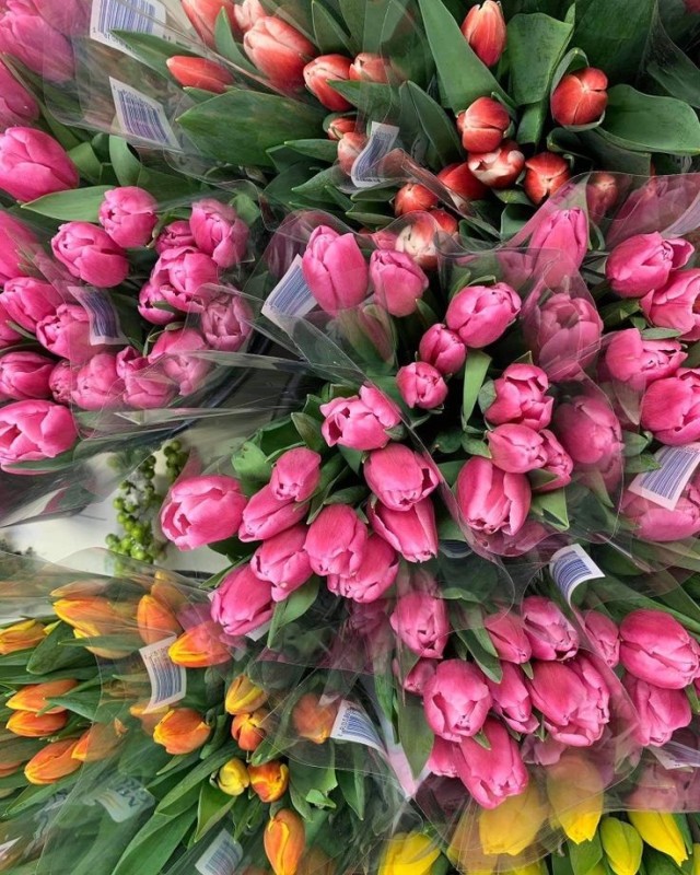 Создать мем: красивые тюльпаны, букет тюльпанов, тюльпаны