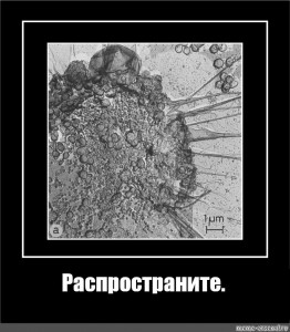 Создать мем: вирус иммунодефицита, вирус, вирус иммунодефицита человека