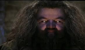 Create meme: Hagrid from Harry, Robbie Coltrane is Hagrid, Hagrid Harry Potter