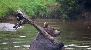 Create meme: fishing in Samara, fun fishing, Russian bear