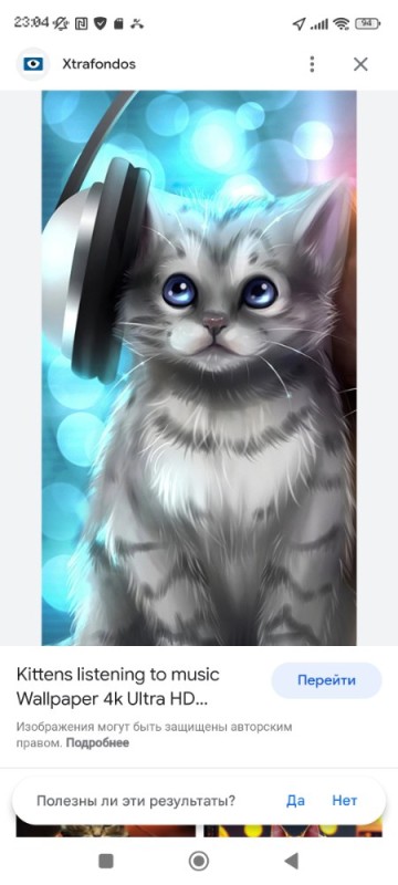 Create meme: cute kittens , seals , cat with headphones