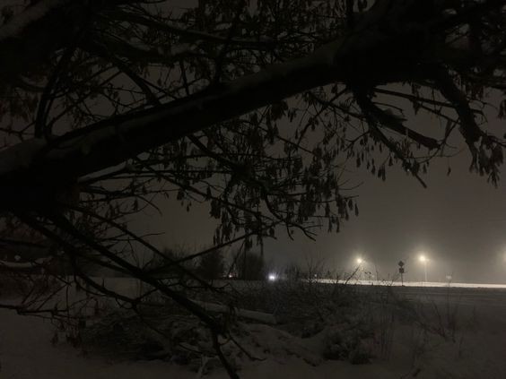 Create meme: winter landscape, night fog, winter