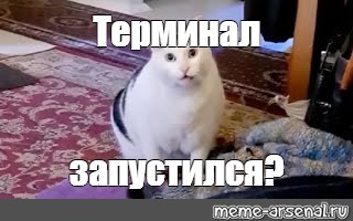 Создать мем: null