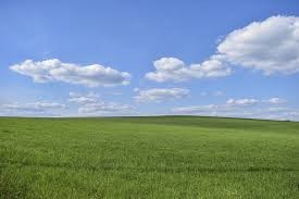 Create meme: green field, field field, grass sky