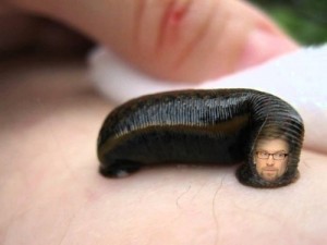 Create meme: leeches, treatment of prostatitis leeches, leech health