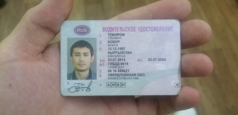 Create meme: driver's license category, driver's license , driver's license alexander