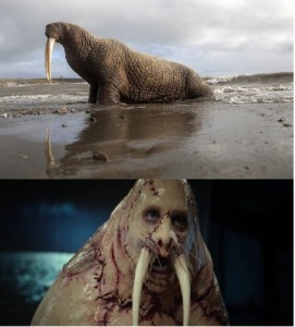 Create meme: Mr. Tusk, pictures of walruses, Tusk walrus movie