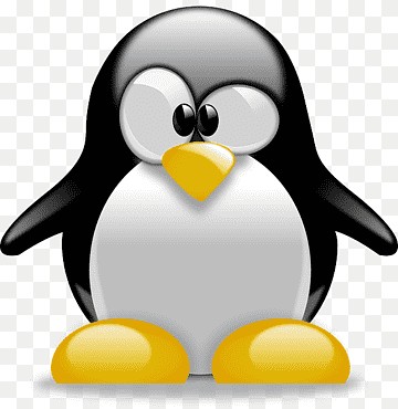 Create meme: penguin clipart, linux penguin, penguin on a white background