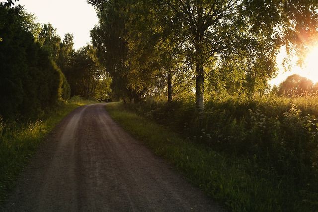 Create meme: forest path sunset, the nature of the road, forest road