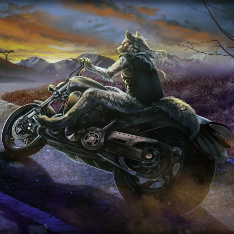Создать мем: фурри байкер, волк на мотоцикле обои, байк арт