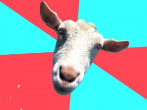 Create meme: sheep, humor, goat