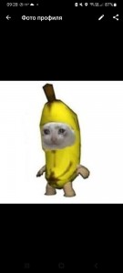 Create meme: people, animals funny, banana