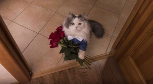 Создать мем: кот с букетом, кот с цветами, кошка