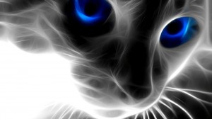 Создать мем: alex cat, синие усы, кошка морда
