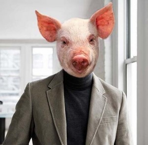 Создать мем: свинья в галстуке, поросенок шея, свинья улыбается