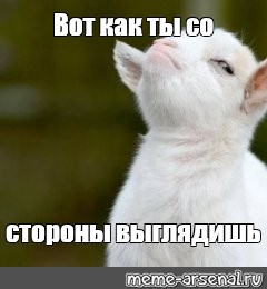 Создать мем: null