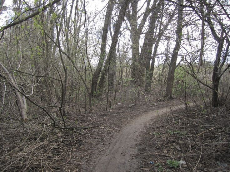 Создать мем: роща, trail loop, princes risborough город