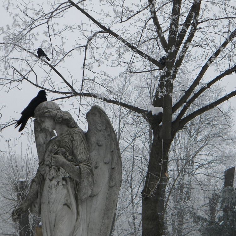 Создать мем: пейзаж мрачный, девушка зимой на кладбище, кладбищенские статуи ангелов эстетика