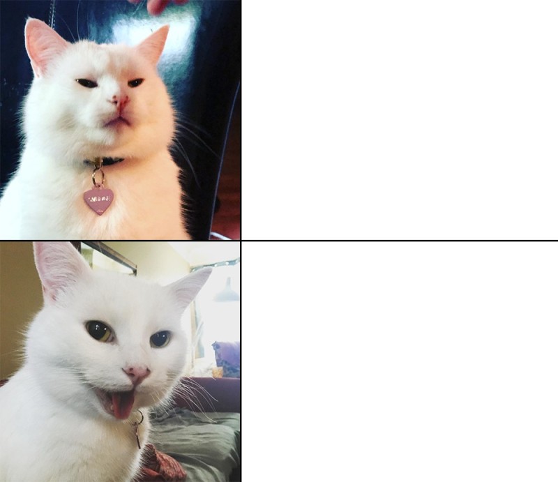 Create meme: The cat from the meme is white, meme with a white cat, The white cat from memes