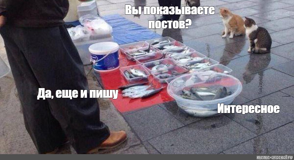 Просто показываю