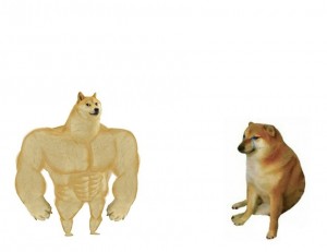 Create meme: swole vs chess doge meme, doge meme, dog