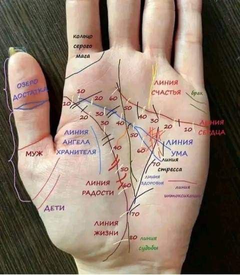 Create meme: lines on the arm, palmistry, The line of fate