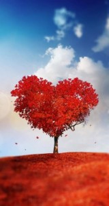 Create meme: aşk, fall in love, tree