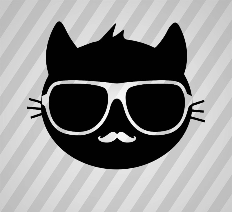 Create meme: a black cat with glasses, cat with black glasses, cat with glasses icon