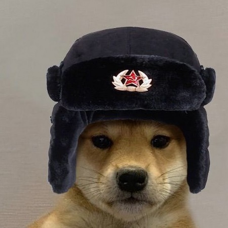 Собака в шапке ушанке