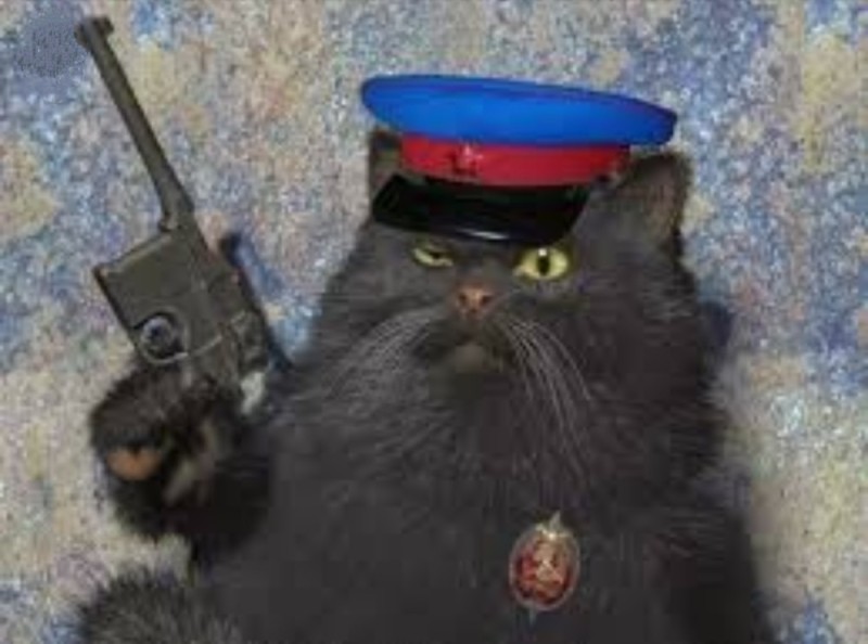 Создать мем: кот чекист, народный комиссариат внутренних дел ссср, кот бегемот с маузером