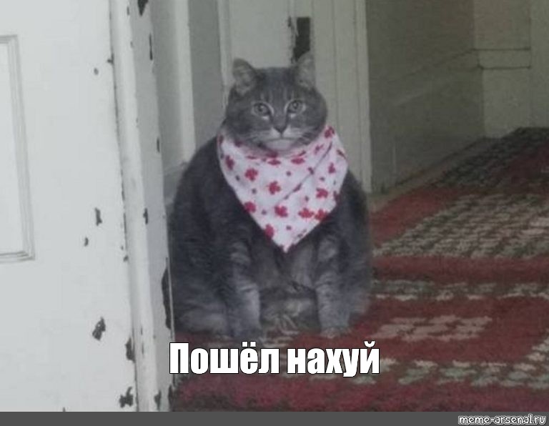 Кот на печку пошел