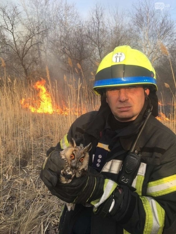 Create meme: firefighters, fire rescue officer, A firefighter rescued an owl from a burning forest