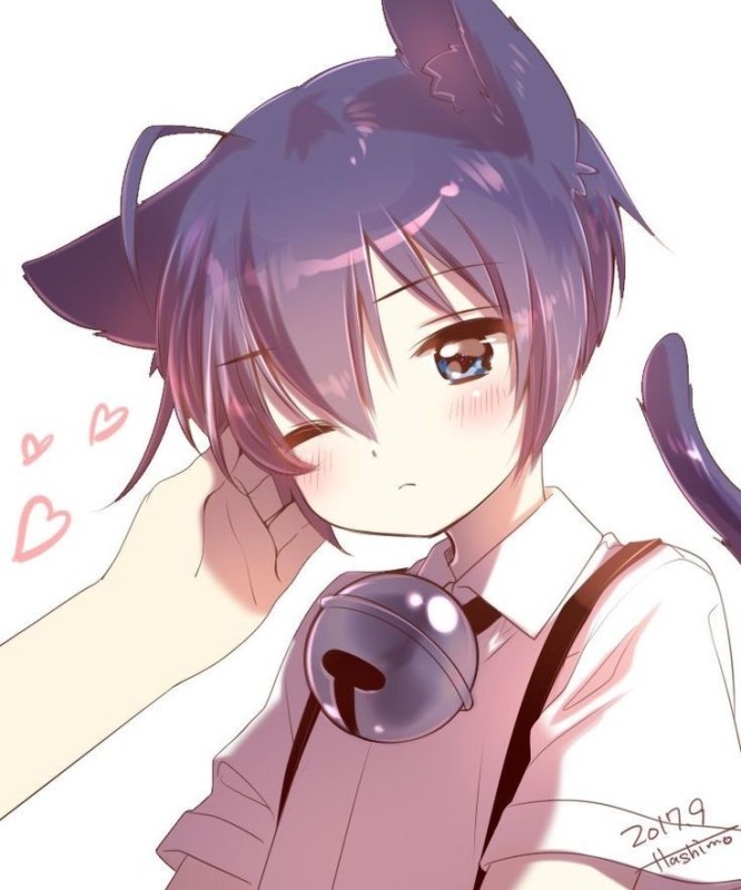 Create meme: neko kun, Shota boy Neko, the guy from the anime