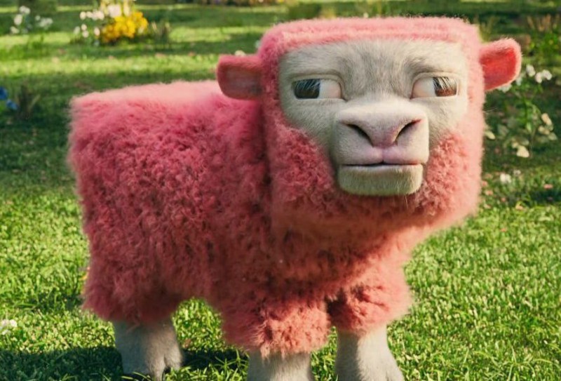 Create meme: curly lamb, pink sheep, colored sheep