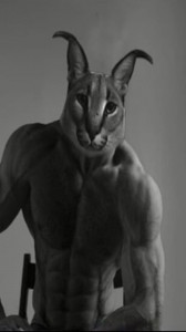 Create meme: Sphynx cat, cat, Ernest Khalimov gigachad