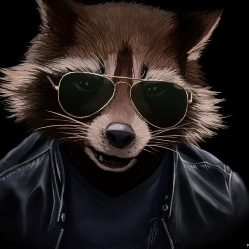 Create meme: Leon the raccoon, cool raccoon, raccoon glasses