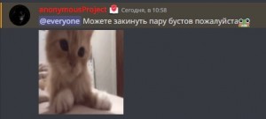 Создать мем: коты, котики, животные милые