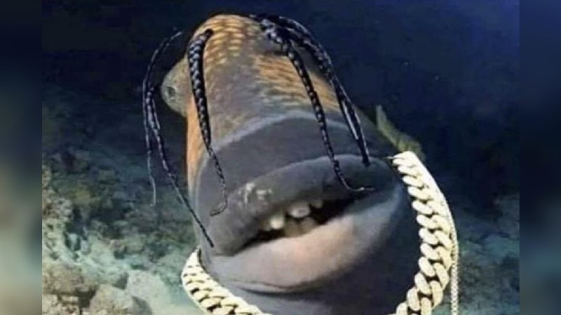 Создать мем: глубокое синее море, мурена рыба, travis scott fish meme