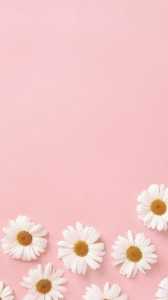 Create meme: blurred image, light pink background, background floral