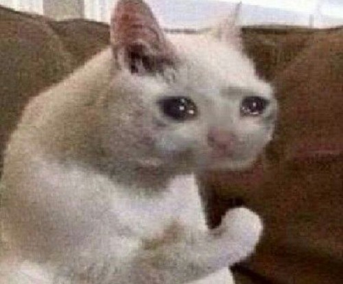 Can someone make me a transparent cut out of the crying sad cat meme ...