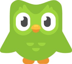Create meme: apps for Android, duolingo