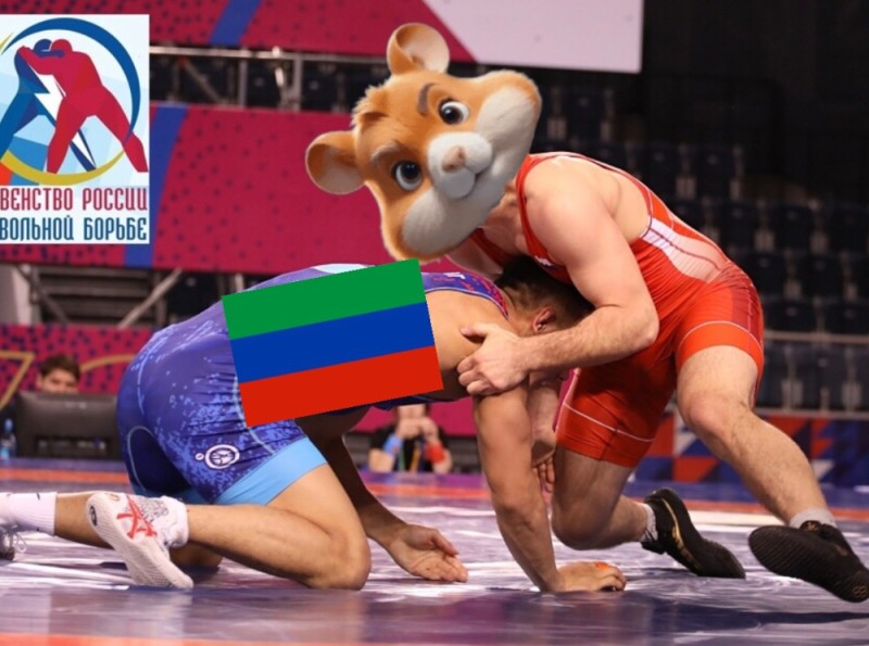 Create meme: wrestling , wrestling of Dagestan, freestyle wrestling Gennady tulbya