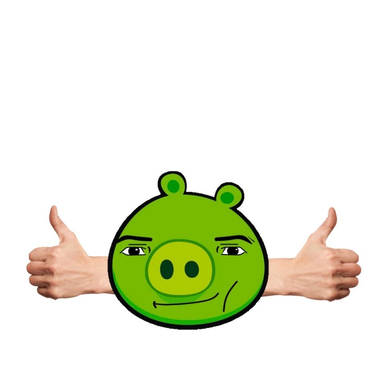 Create meme: pig angry birds, The pig from angri birds, angri birds pig