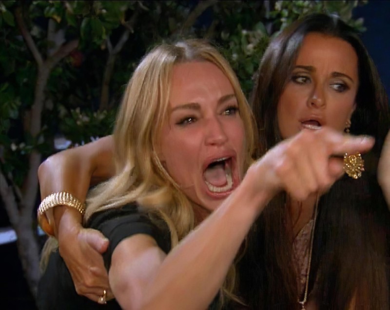 Create meme: meme two women yelling at the cat, A woman yells at a cat meme, Kyle Richards Taylor Armstrong